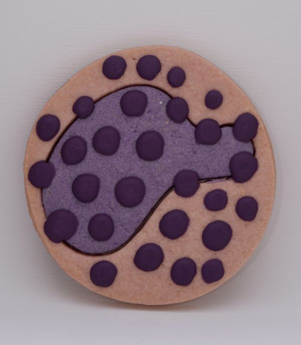 Paquete Galletas de tu sistema inmune - Imagen 2