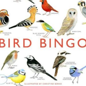 Bingo de aves