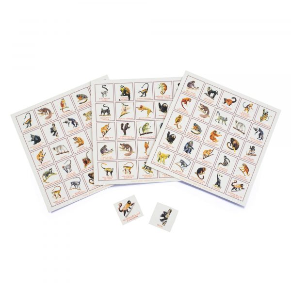 Bingo de primates - Imagen 6