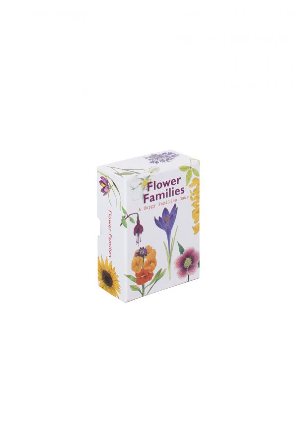 Flower Families: - Imagen 4