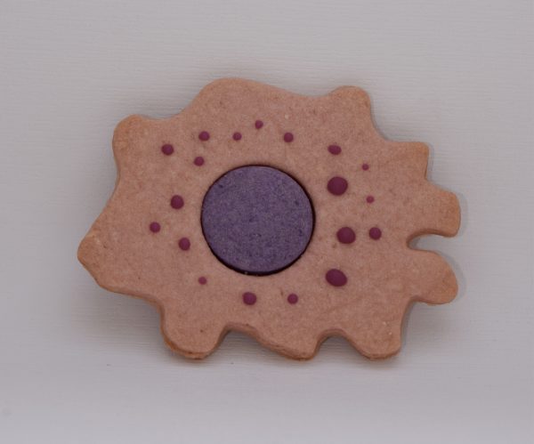Paquete Galletas de tu sistema inmune - Imagen 5
