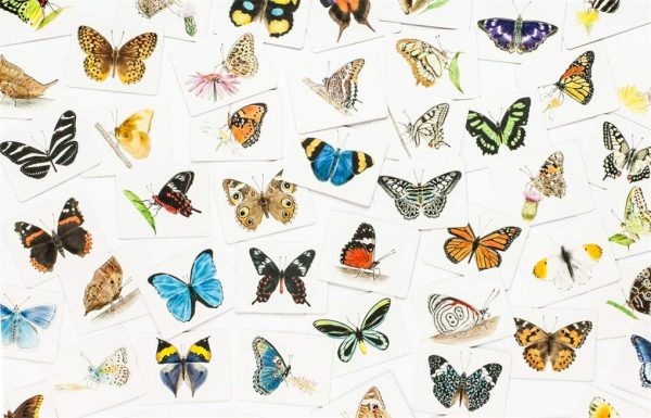 Memorama Alas de mariposa - Imagen 2