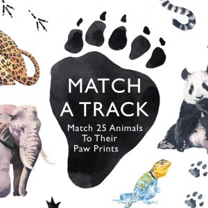 Juego de memoria de huellas de animales