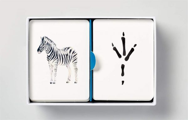 Juego de memoria de huellas de animales - Imagen 4