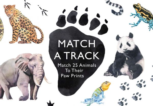 Juego de memoria de huellas de animales