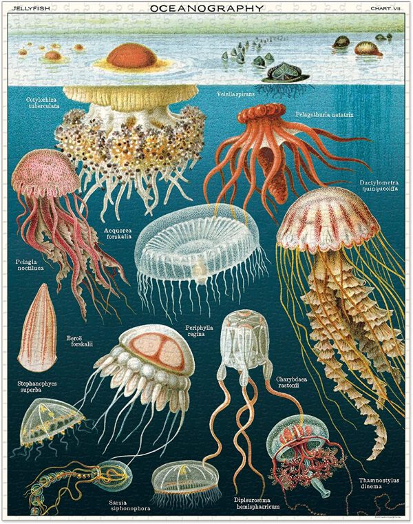Rompecabezas de medusas