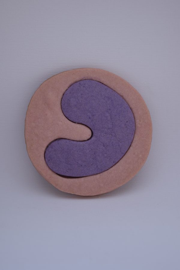 Paquete Galletas de tu sistema inmune - Imagen 6