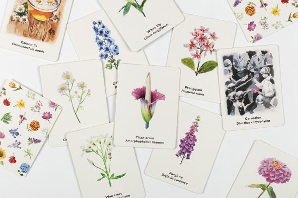 Juego de memoria: Pick a Flower - Imagen 3
