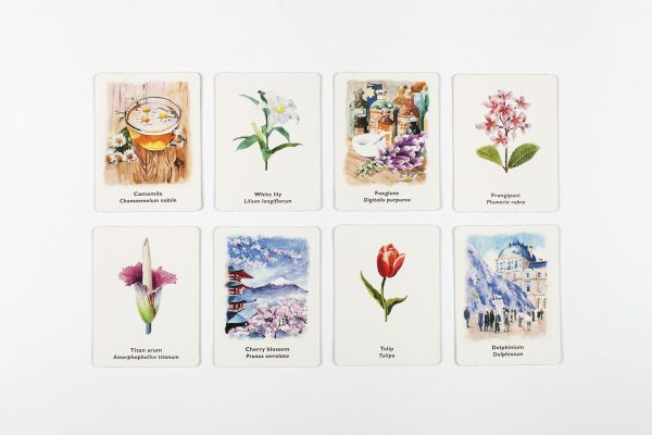 Juego de memoria: Pick a Flower - Imagen 4