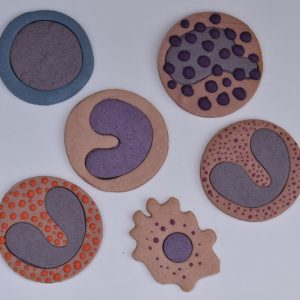 galletas de ciencia